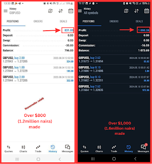 Forex profit screenshot