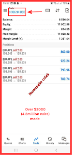 $3,000 in a day profit