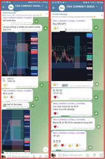 Copy trade profitable results from members