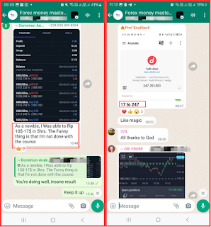 Eruditech account flipping results